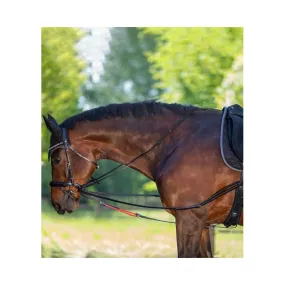 Enrênement Train Rein - Waldhausen - WALDHAUSEN - Cheval - Equestra