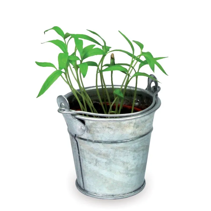 Kit de plantation dans mini seau en métal personnalisé - SEAU METAL