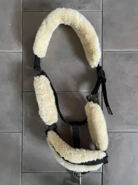 licol en mouton synthétique