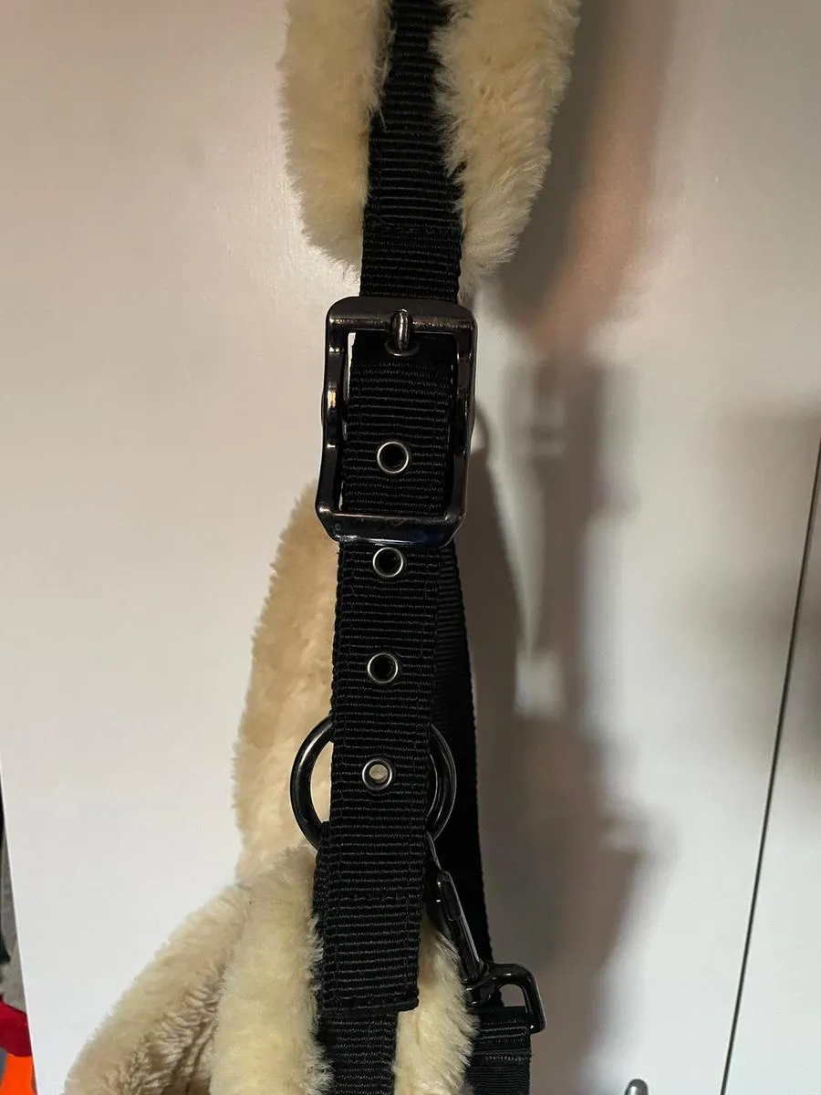 licol en mouton synthétique