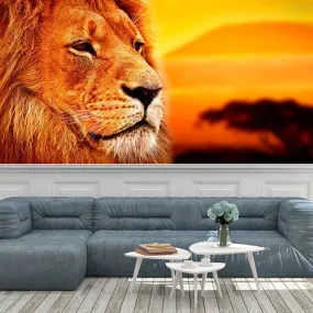 Lion d - PAPIER PEINT VINYLE