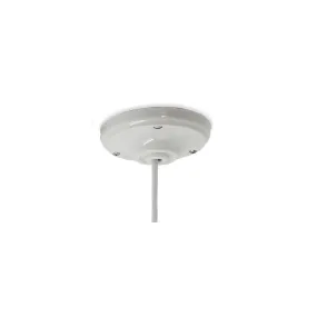 Rosace en porcelaine vis apparentes