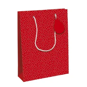Sac papier Coeurs poignées cordelettes 26,5x14x33 cm - par 6