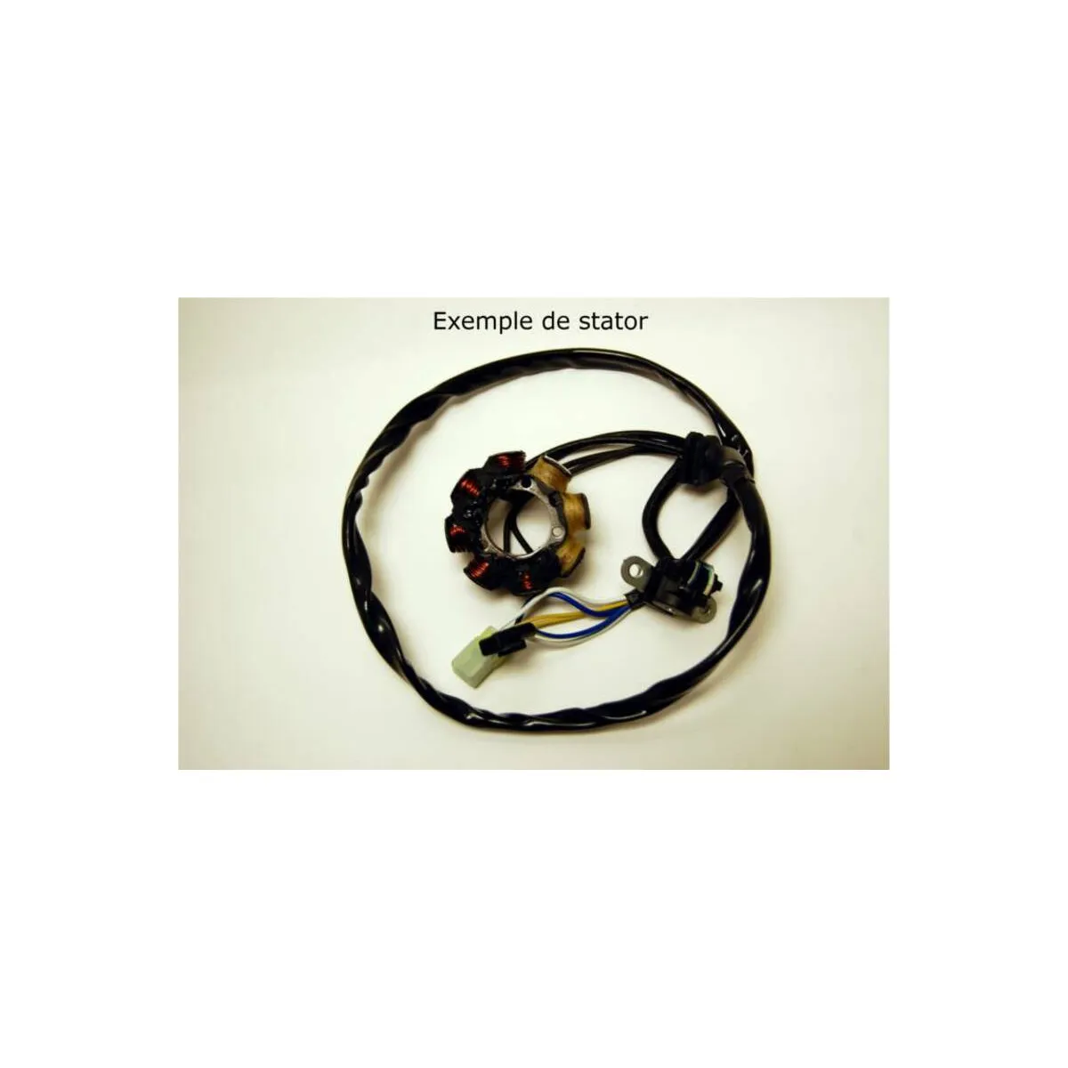 Stator ELECTROSPORT 65/100 KX 2006-2013